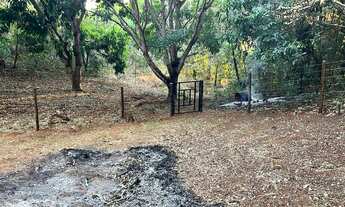 Imagem 3: ? Vendo lindo sítio em Palmas/TO - sentido Taquarussu/Buritirana