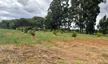 Imagem 2: Chácara a venda na DF-100 com 13 hectares