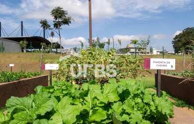 Imagem 12: Lote no Jardins França