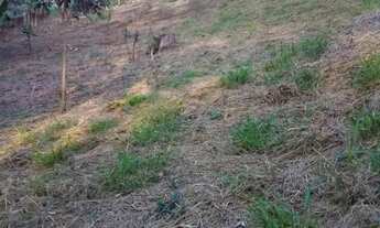 Imagem 7: AREA - JARDIM PROFESSOR BENOÁ - SP