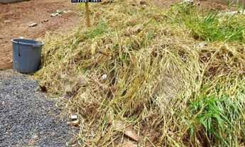 Imagem 2: Terreno Bady Bassitt