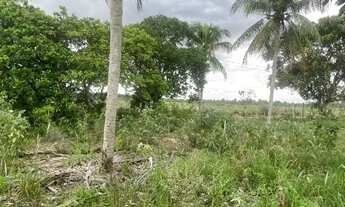 Imagem 3: Terreno 7X20 Humildes Feira de Santana