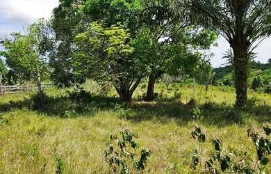 Imagem 7: Vendo sítio em Nazaré das farinha