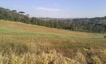 Imagem 3: Imóvel para venda tem 500 metros quadrados em Jardim Santa Izabel - Cotia - SP