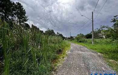 Imagem 4: AREA - CHÁCARA SANTA LÚCIA - SP