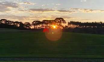 Imagem 3: Chácara com 114.345m² , à venda, no bairro Colônia Murici em São José dos Pinhais