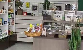 Imagem 3: Loja de Produtos Naturais com tudo dentro