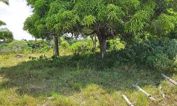 Imagem: Vendo sítio em Nazaré das farinha