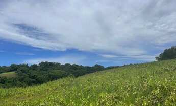 Imagem: Viva Bem Terreno em Ibiúna Cercado pela