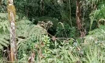 Imagem 4: Terreno/Área à venda com 45.997,46m² no São João