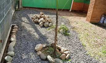 Imagem 7: Oportunidade no Vicentina: casa com 2 dormitórios, 98m² construídos, terreno de 410m² e ót