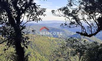 Imagem 3: Lote em rua colinas - Colinas - São Francisco de Paula/RS