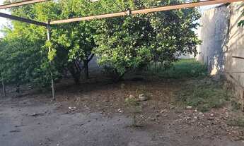 Imagem 7: Terreno no santo Antônio na rua do lado de Alaíde