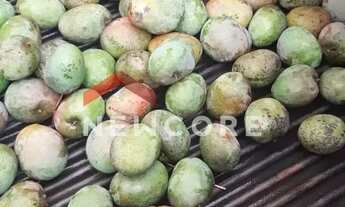 Imagem 5: Casa em Rua Maura Carvalho - Morada Nova - Uberlândia/MG