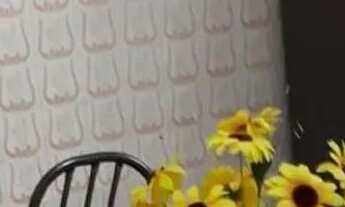 Imagem 6: Casa em Rua Marciano Capella - Vila Ré - São Paulo/SP