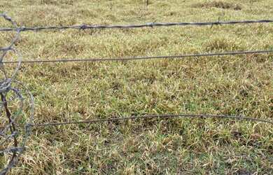 Imagem 6: Ótimo terreno 5.000m2 a 15 min de Sorocaba !!