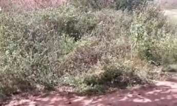 Imagem: Terreno em São José Distrito de Maria