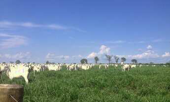 Imagem: 410 alqueires Fazenda em Tailandia por 100