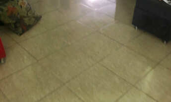 Imagem 3: Casa grande com quintal