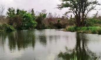 Imagem 4: Vende-se 12 alqueires em Uberlândia/MG , riquíssimo em água