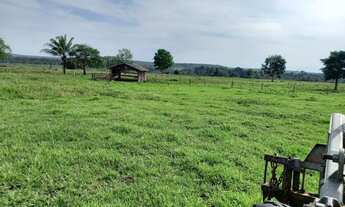 Imagem: Fazenda Santa luzia, Guarantã do Norte