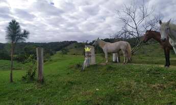 Imagem 4: Sítio Terreno Rural Itajaí - SC - Itaipava