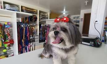 Imagem 5: Pet shop Galpão / depósito com 3 vagas na garagem