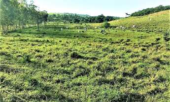 Imagem 2: Encontre a sua Fazenda aqui