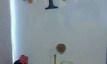 Imagem 7: Apartamento residencial à venda, Saúde, São Paulo