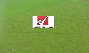 Imagem 2: Fazenda 12000 Alqueires Mato Grosso