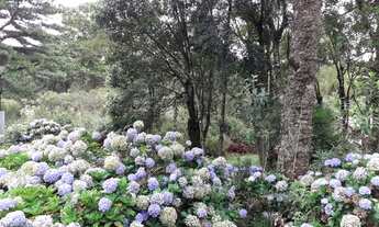 Imagem 5: CH07 Fazenda/Sítio/Chácara para venda tem 2.000 metros quadrados em Zona Rural - Três Coro