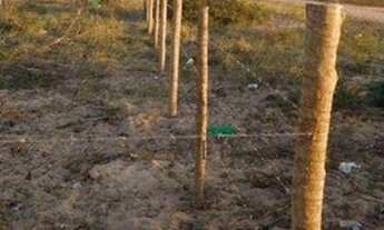 Imagem 3: Terreno à venda na Avenida principal Grussai