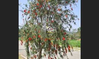 Imagem 5: Lote/Terreno para venda com 776 metros quadrados em Centro - Guararema - SP