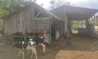 Imagem 7: Chácara 5 Alqueires em Cantagalo-Pr