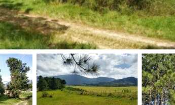 Imagem 4: ÁREA para LOTEAMENTO 50% permuta!