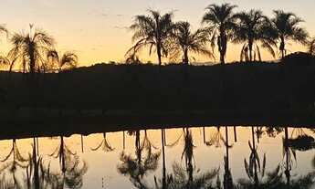 Imagem 6: Vendo Fazenda entre São Miguel do Passa 4 e Vianopolis - GO
