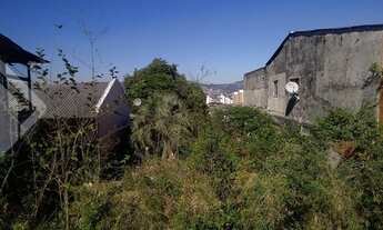 Imagem 5: PORTO ALEGRE - Terreno Padrão - Bom Jesus