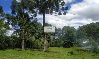 Imagem: Terreno à venda em Campo Alegre/SC