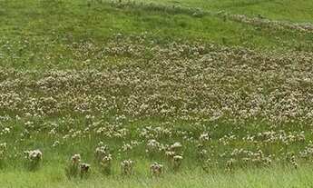 Imagem 3: G03-Acesso pela Dutra