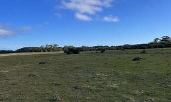 Imagem 7: Vendo Imóvel Rural com 162,5ha em Tavares/RS na Localidade de Capão Comprido