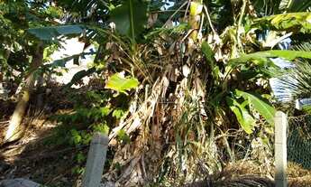 Imagem 4: Terreno de 0 Dormitório, Localizado em JOAO PAULO