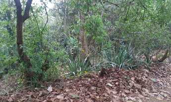 Imagem 4: Terreno para Venda em Cotia, Granja Viana