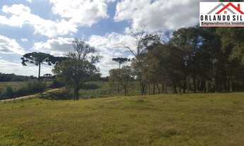 Imagem 4: 18min Shopping S.José/35min Curitiba/Chácara/105.000m²/ R$1.374.000,00