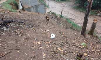 Imagem 5: Terreno Bem localizado