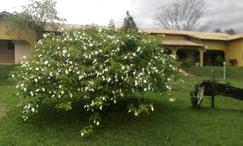 Imagem 2: SITIO RURAL em QUATIS - RJ, QUATIS