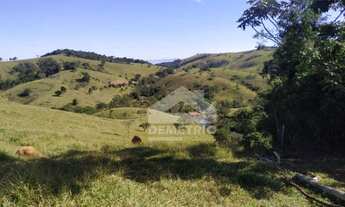 Imagem 3: SÍTIO COM 4 ALQUEIRES À VENDA