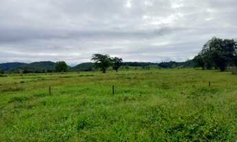 Imagem: Fazenda 32 alqueires Área Plana ( Willian