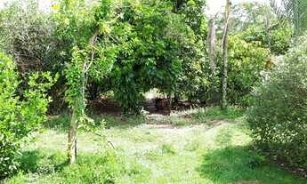 Imagem 5: Chacara 46.000 mil m² bairro Santana - Piracicaba - SP