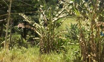 Imagem 7: Terreno na Estrada do Sana com nascente Oportunidade