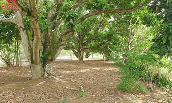 Imagem 5: Chácara para Venda em Brasília, RURAL, 2 dormitórios, 1 suíte, 2 banheiros, 2 vagas